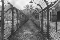 US School Bans Pulitzer Prize-Winning Holocaust Novel Maus